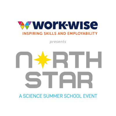 The work-wise Foundation Northstar